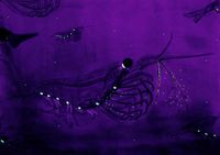 bioluminescence antarctic krill - watercolor from Wikipedia