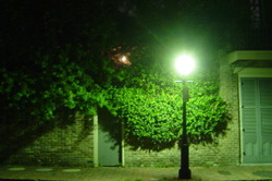 Street Lamp