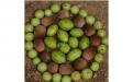 Banyan Botanicals' Triphala Powder and Tablets